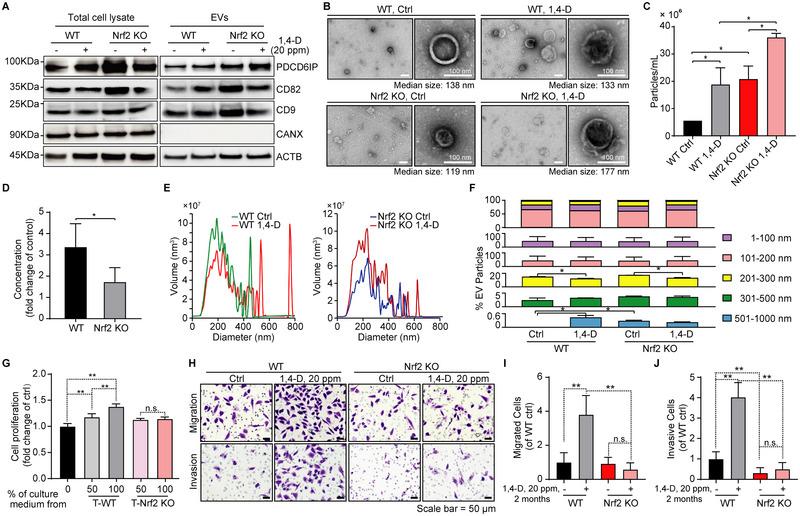 https://cdn.ncbi.nlm.nih.gov/pmc/blobs/58de/12042698/3be510bc12d2/JEV2-14-e70072-g002.jpg