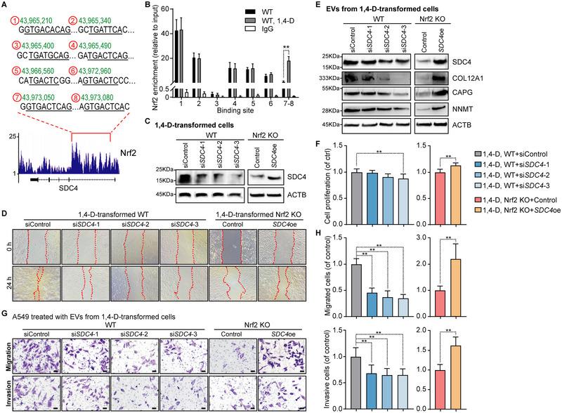https://cdn.ncbi.nlm.nih.gov/pmc/blobs/58de/12042698/3e62103892c4/JEV2-14-e70072-g004.jpg