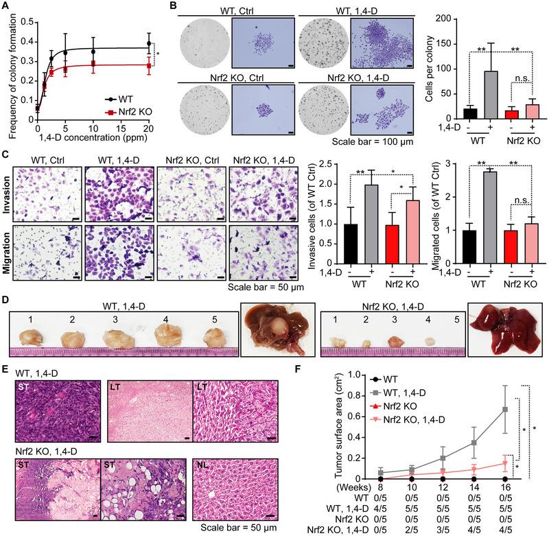 https://cdn.ncbi.nlm.nih.gov/pmc/blobs/58de/12042698/b44d8a291377/JEV2-14-e70072-g008.jpg