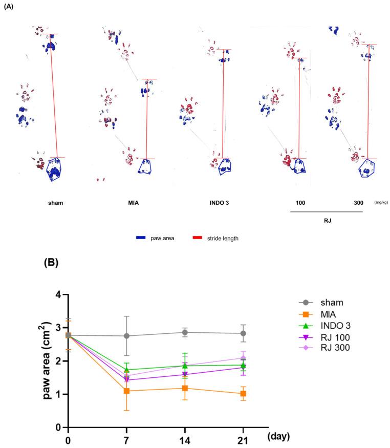 https://cdn.ncbi.nlm.nih.gov/pmc/blobs/58df/11476456/3903fbfb7642/ijms-25-10647-g004a.jpg