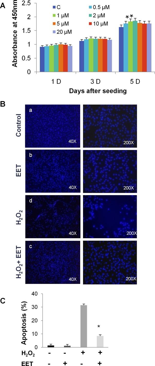 https://cdn.ncbi.nlm.nih.gov/pmc/blobs/58e0/5354795/abf742a89896/oncotarget-08-3781-g001a.jpg