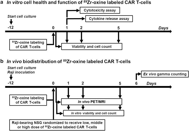 https://cdn.ncbi.nlm.nih.gov/pmc/blobs/58e0/8302724/bf2f4027d471/41598_2021_94490_Fig1_HTML.jpg