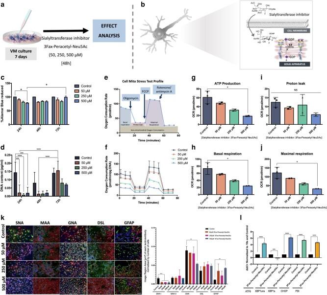 https://cdn.ncbi.nlm.nih.gov/pmc/blobs/58e1/10766401/9a91fc82041a/pgad439f6.jpg