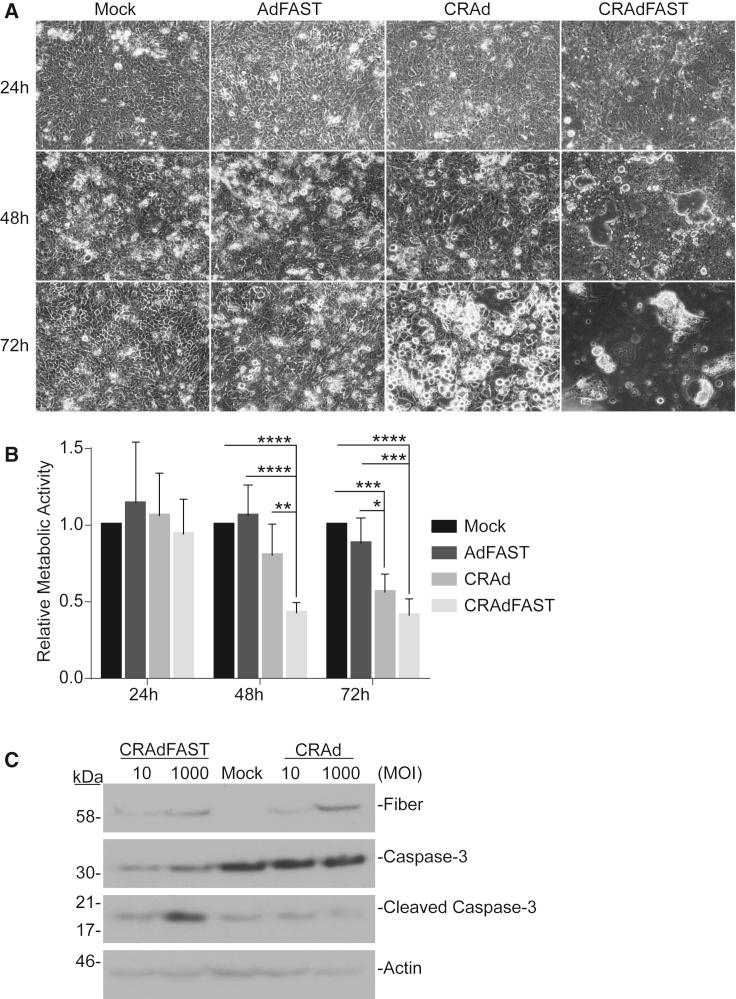 https://cdn.ncbi.nlm.nih.gov/pmc/blobs/58e2/6539411/0ce467840ae7/gr3.jpg