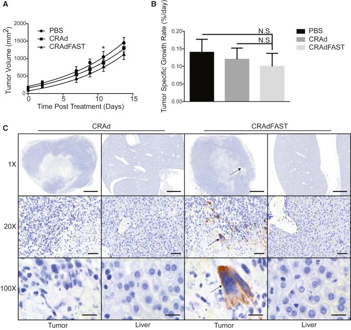 https://cdn.ncbi.nlm.nih.gov/pmc/blobs/58e2/6539411/3e35e5a54ad8/gr4.jpg