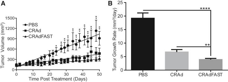 https://cdn.ncbi.nlm.nih.gov/pmc/blobs/58e2/6539411/a281e78ca700/gr7.jpg