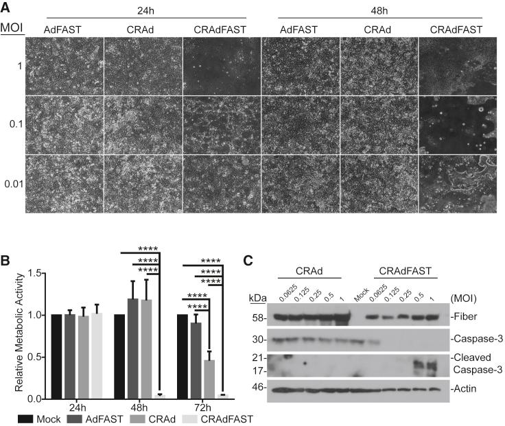https://cdn.ncbi.nlm.nih.gov/pmc/blobs/58e2/6539411/b36b417c5889/gr6.jpg