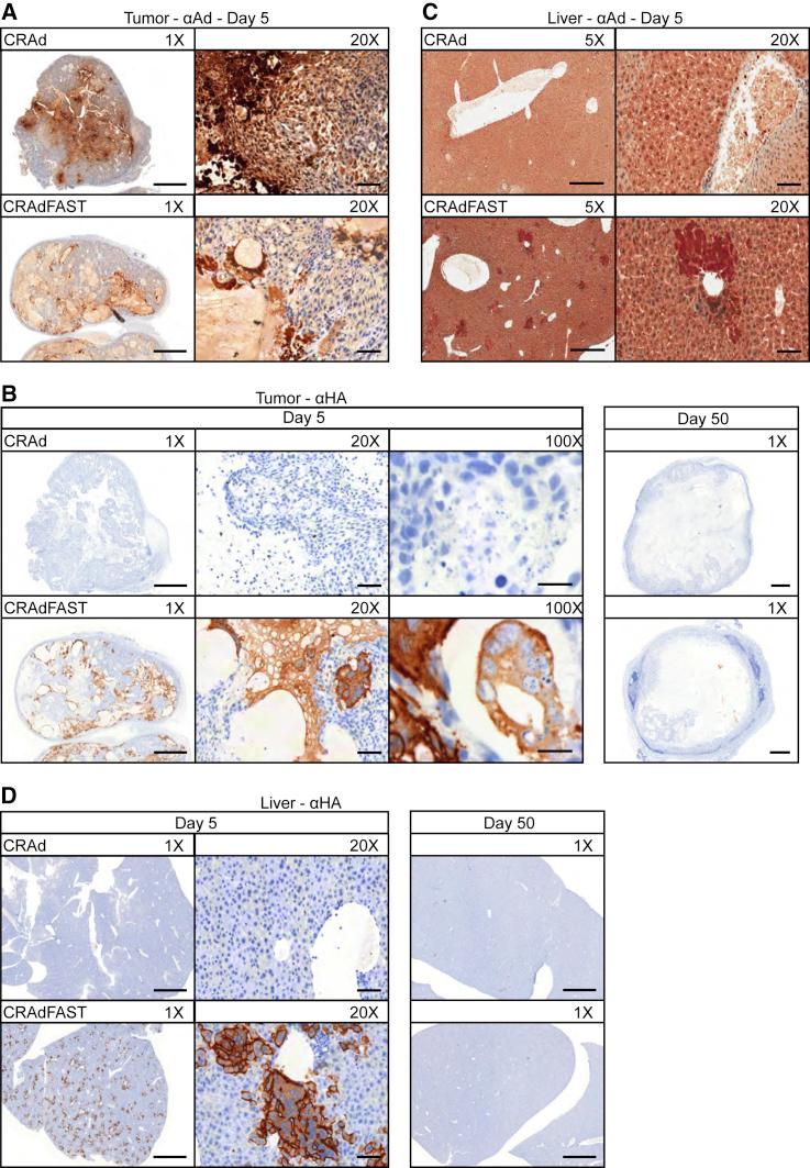 https://cdn.ncbi.nlm.nih.gov/pmc/blobs/58e2/6539411/c6718bb6130c/gr8.jpg