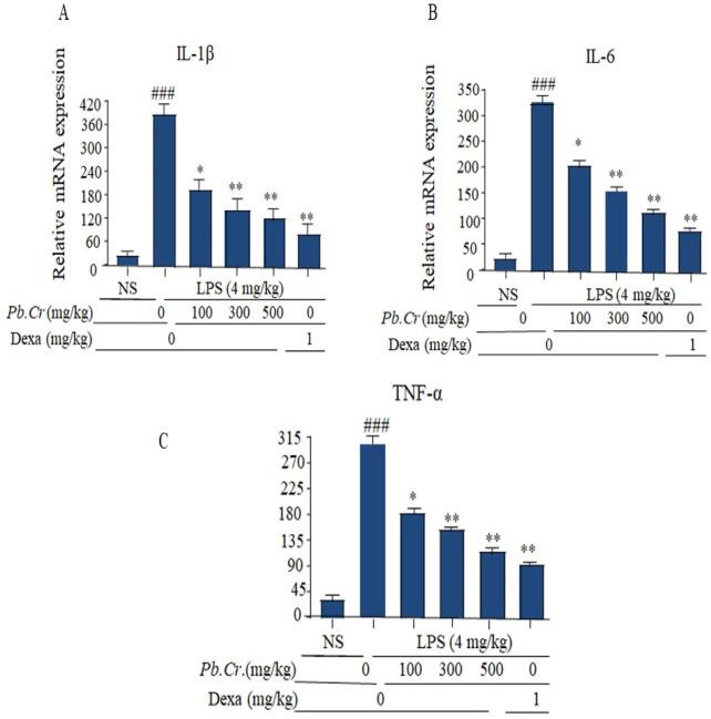 https://cdn.ncbi.nlm.nih.gov/pmc/blobs/58e5/11851016/54dadc0fb96b/fphar-15-1500085-g006.jpg