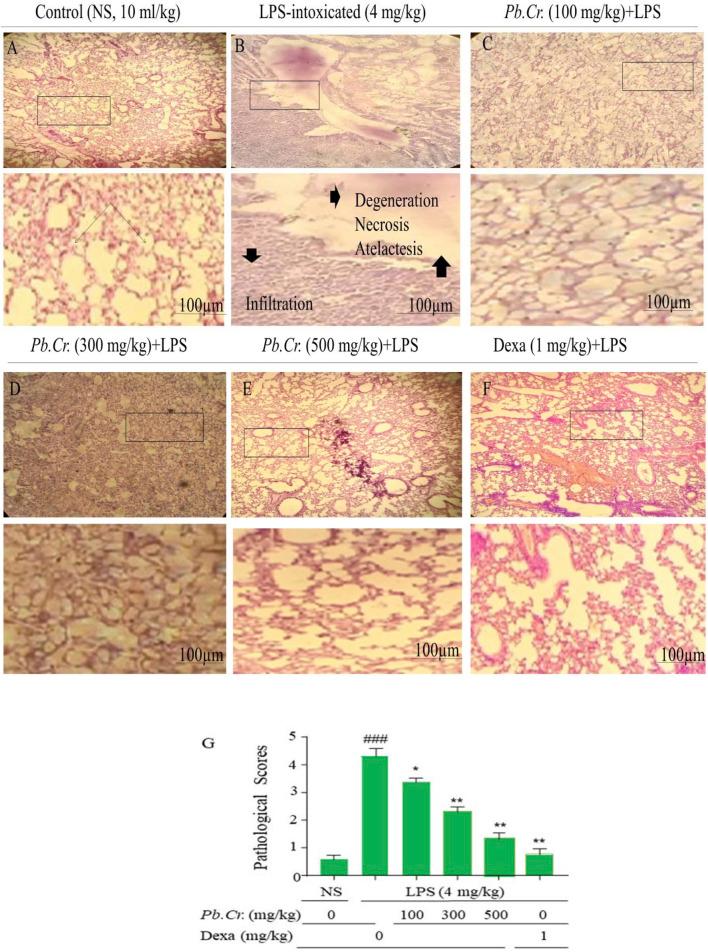 https://cdn.ncbi.nlm.nih.gov/pmc/blobs/58e5/11851016/5d938034197c/fphar-15-1500085-g004.jpg