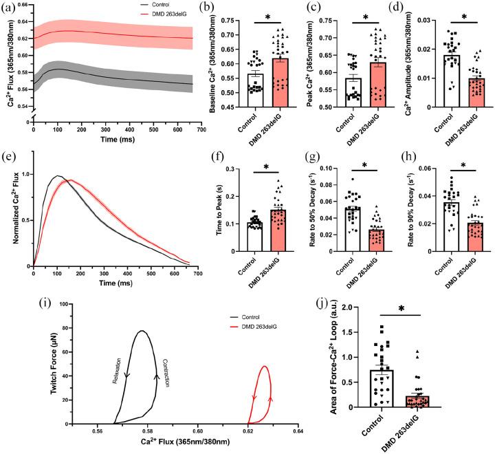 https://cdn.ncbi.nlm.nih.gov/pmc/blobs/58e5/9393922/5e348260998f/10.1177_20417314221119628-fig5.jpg
