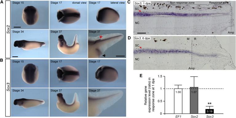 https://cdn.ncbi.nlm.nih.gov/pmc/blobs/58e8/4266004/e1c280f66cd6/gr7.jpg