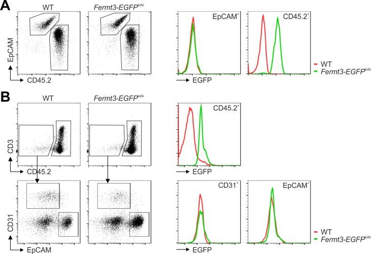 https://cdn.ncbi.nlm.nih.gov/pmc/blobs/58e9/6126919/00a2c9754ea8/elife-35816-fig4-figsupp2.jpg