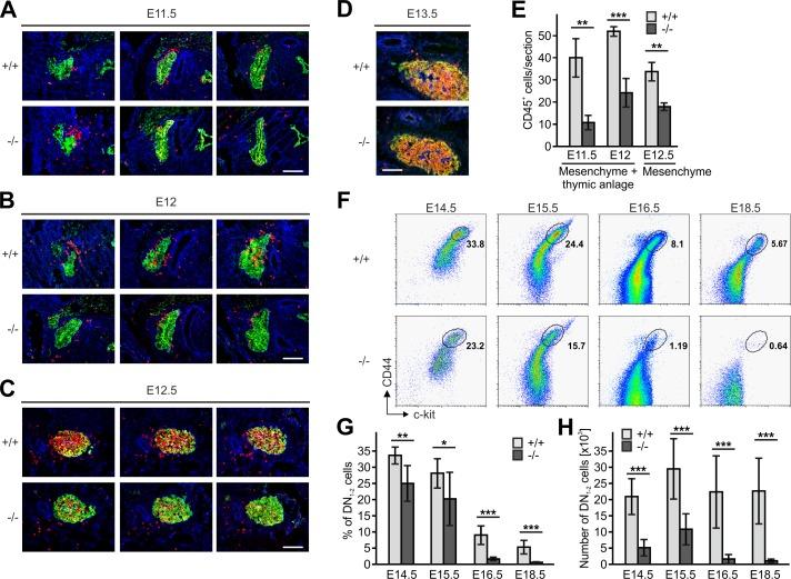 https://cdn.ncbi.nlm.nih.gov/pmc/blobs/58e9/6126919/084036953d8e/elife-35816-fig5.jpg