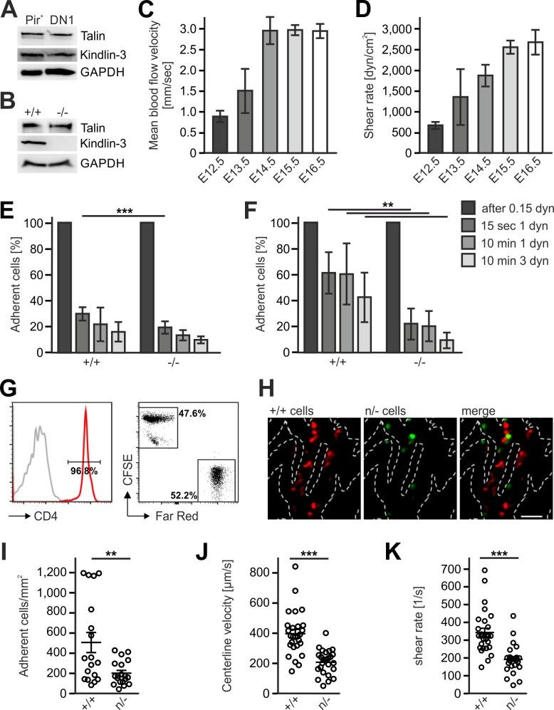 https://cdn.ncbi.nlm.nih.gov/pmc/blobs/58e9/6126919/2ec9188f309b/elife-35816-fig8.jpg