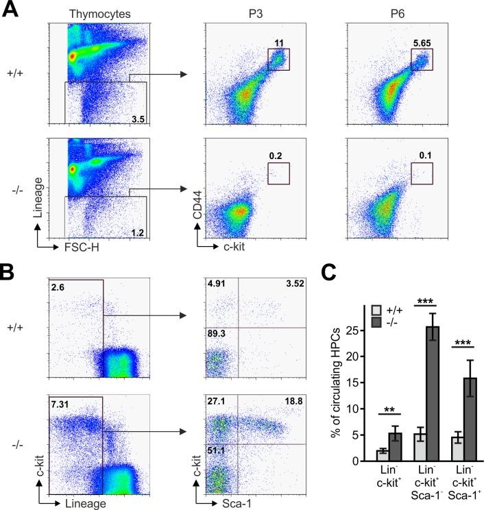 https://cdn.ncbi.nlm.nih.gov/pmc/blobs/58e9/6126919/ad1413acd5d3/elife-35816-fig3.jpg