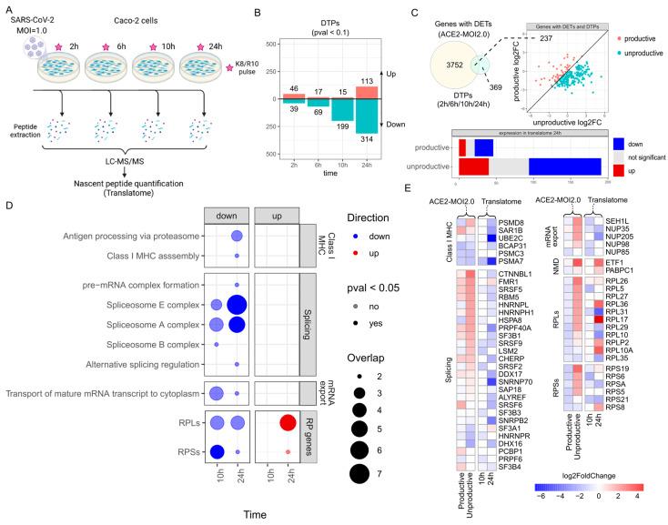 https://cdn.ncbi.nlm.nih.gov/pmc/blobs/58ec/11172111/f5b820c8cd1e/ijms-25-05671-g003.jpg