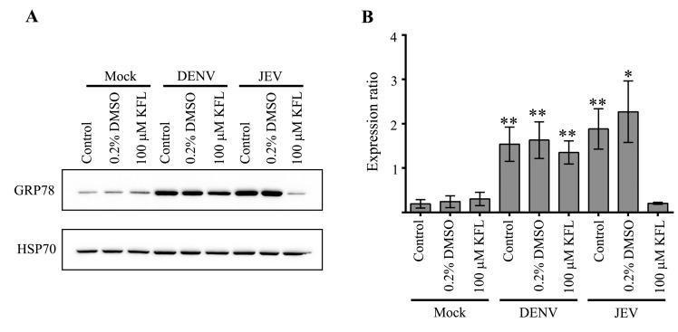 https://cdn.ncbi.nlm.nih.gov/pmc/blobs/58ec/7179415/19fa167c2c44/molecules-25-01246-g011.jpg