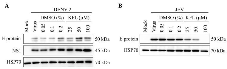 https://cdn.ncbi.nlm.nih.gov/pmc/blobs/58ec/7179415/513ad0710523/molecules-25-01246-g007.jpg