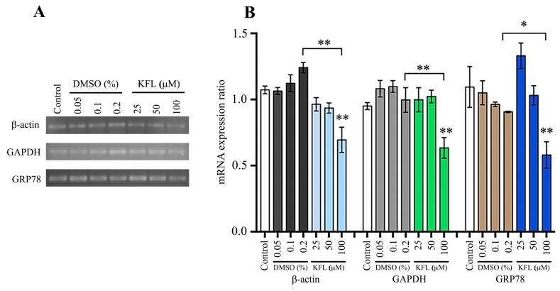 https://cdn.ncbi.nlm.nih.gov/pmc/blobs/58ec/7179415/af29328bcd71/molecules-25-01246-g008.jpg
