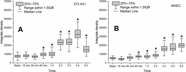 https://cdn.ncbi.nlm.nih.gov/pmc/blobs/58ee/11566607/9aeed7105ccc/IJN-19-11719-g0002.jpg