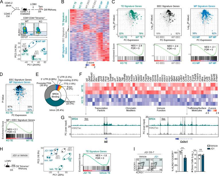 https://cdn.ncbi.nlm.nih.gov/pmc/blobs/58ee/8160575/7dcdc1de5914/JEM_20202512_Fig3.jpg