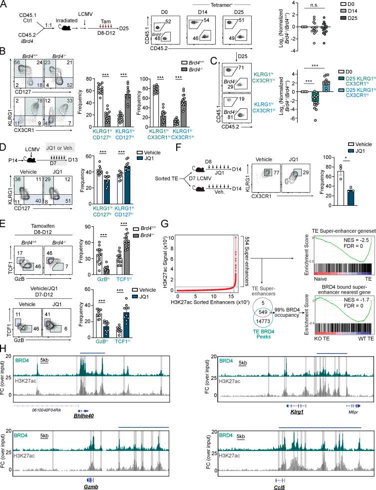 https://cdn.ncbi.nlm.nih.gov/pmc/blobs/58ee/8160575/de7eed1f44c2/JEM_20202512_Fig4.jpg
