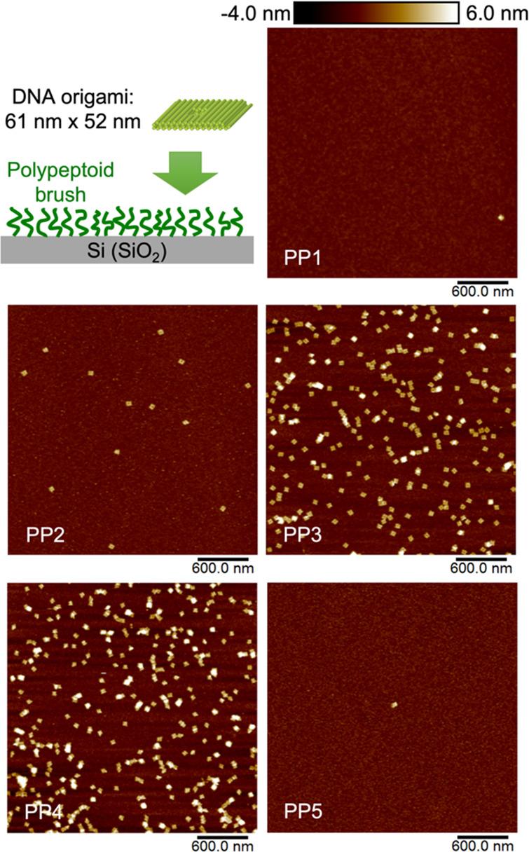 https://cdn.ncbi.nlm.nih.gov/pmc/blobs/58ef/10938923/661cef8fd8de/nn3c10204_0004.jpg