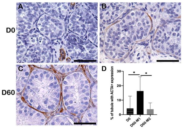 https://cdn.ncbi.nlm.nih.gov/pmc/blobs/58ef/9316019/db447aca0942/ijms-23-07975-g005.jpg