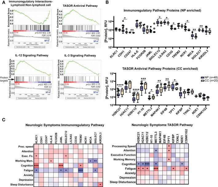 https://cdn.ncbi.nlm.nih.gov/pmc/blobs/58f1/10258318/ccce174fa90e/fimmu-14-1155770-g006.jpg