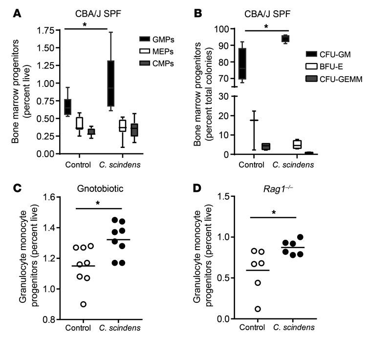 https://cdn.ncbi.nlm.nih.gov/pmc/blobs/58f1/7410058/016947d6bf90/jci-130-133605-g002.jpg