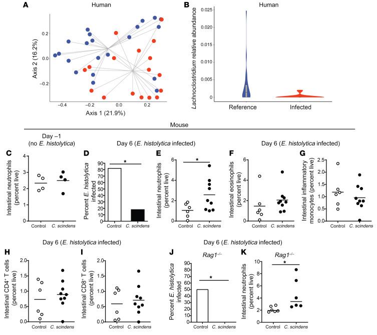 https://cdn.ncbi.nlm.nih.gov/pmc/blobs/58f1/7410058/d63a1f1db2e7/jci-130-133605-g001.jpg