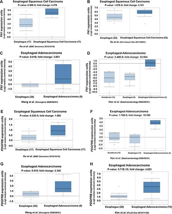 https://cdn.ncbi.nlm.nih.gov/pmc/blobs/58f5/5392285/08ac85b06426/oncotarget-08-17771-g005.jpg