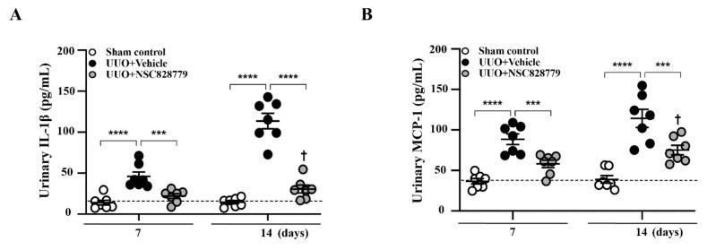 https://cdn.ncbi.nlm.nih.gov/pmc/blobs/58f5/8623783/69026d4a91ed/cells-10-03060-g001.jpg