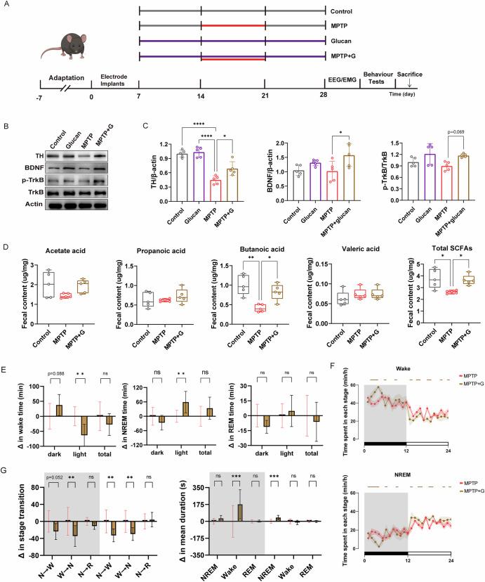 https://cdn.ncbi.nlm.nih.gov/pmc/blobs/58f7/12179271/2001275a3d74/41531_2025_1029_Fig7_HTML.jpg