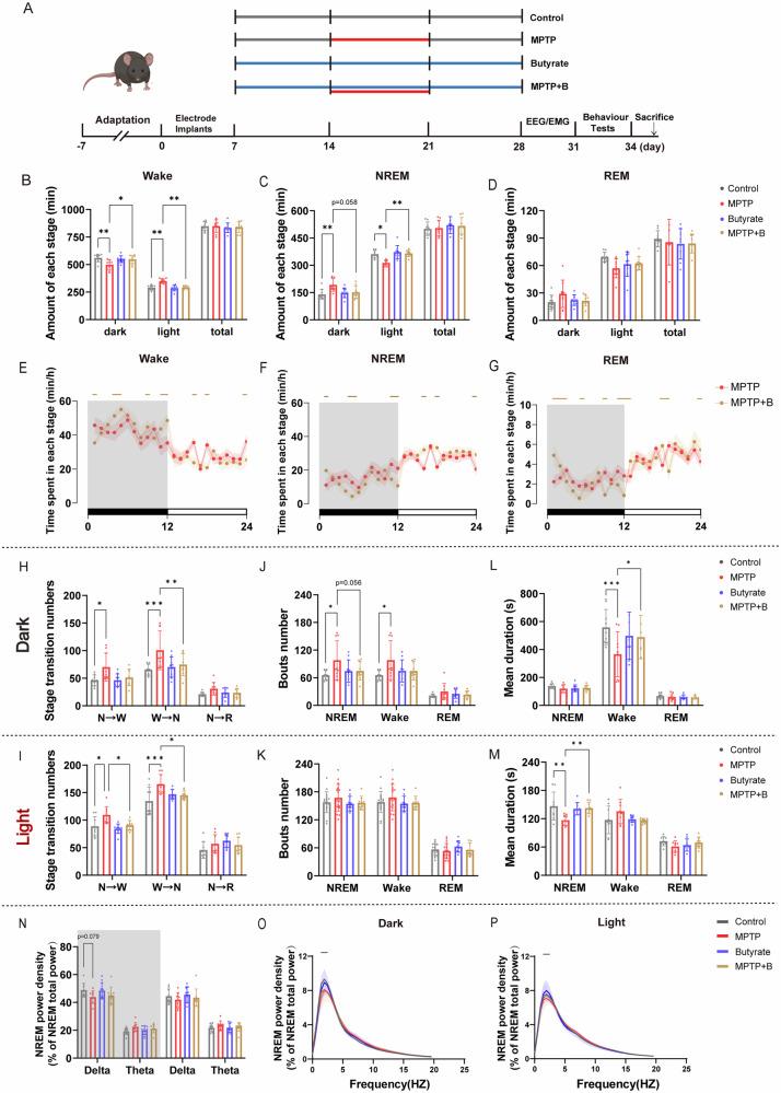 https://cdn.ncbi.nlm.nih.gov/pmc/blobs/58f7/12179271/48b5f8445851/41531_2025_1029_Fig3_HTML.jpg