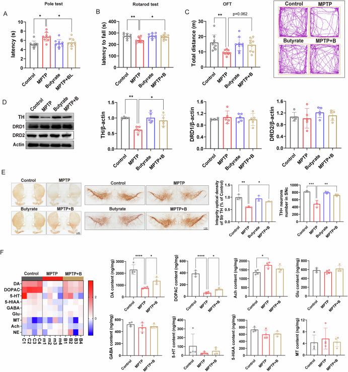 https://cdn.ncbi.nlm.nih.gov/pmc/blobs/58f7/12179271/a1f5a44e9f1d/41531_2025_1029_Fig4_HTML.jpg