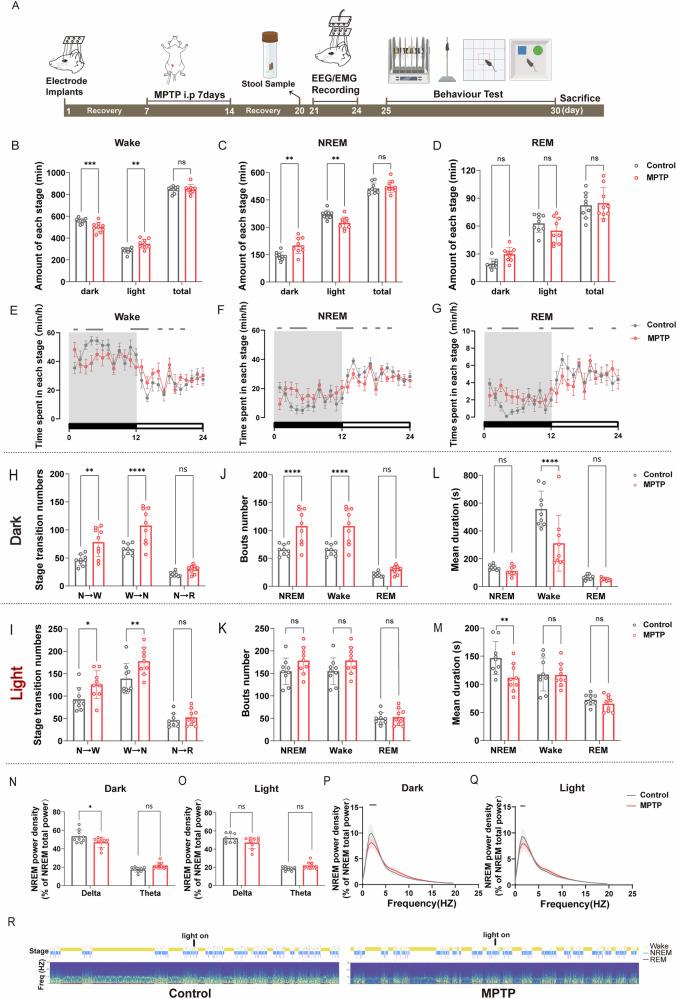 https://cdn.ncbi.nlm.nih.gov/pmc/blobs/58f7/12179271/a9023fe6e23f/41531_2025_1029_Fig1_HTML.jpg