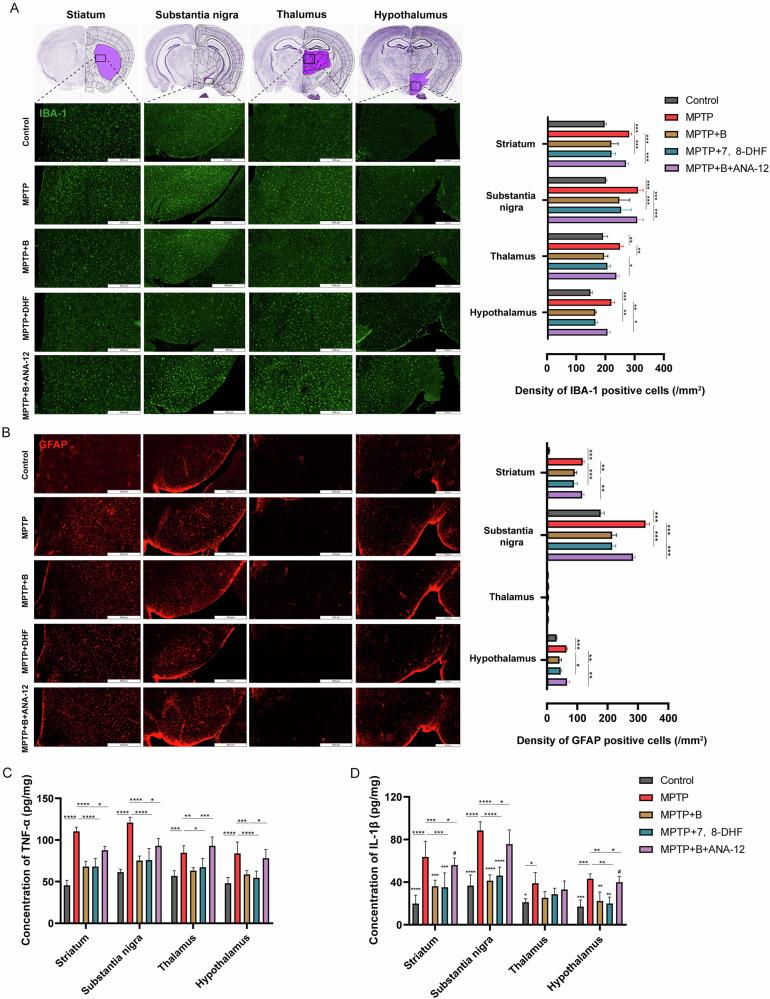 https://cdn.ncbi.nlm.nih.gov/pmc/blobs/58f7/12179271/bb0e3db2f947/41531_2025_1029_Fig6_HTML.jpg