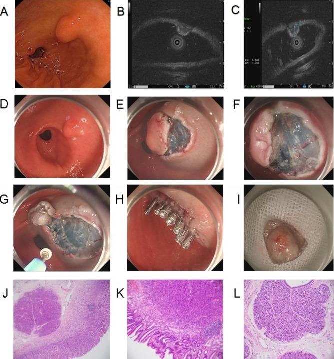 https://cdn.ncbi.nlm.nih.gov/pmc/blobs/58f9/10464286/29445cd05269/12893_2023_2164_Fig2_HTML.jpg