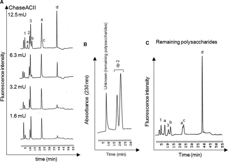 https://cdn.ncbi.nlm.nih.gov/pmc/blobs/58fa/5103875/853777732f59/BCJ-2016-0655.02.jpg
