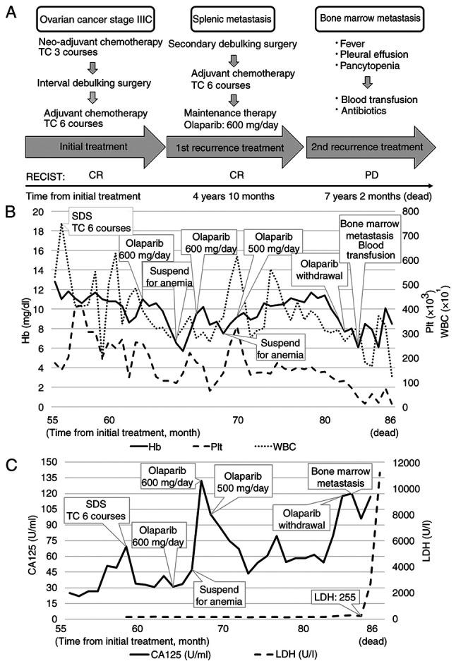 https://cdn.ncbi.nlm.nih.gov/pmc/blobs/58fb/11775887/4c46f8373056/mco-22-03-02822-g00.jpg