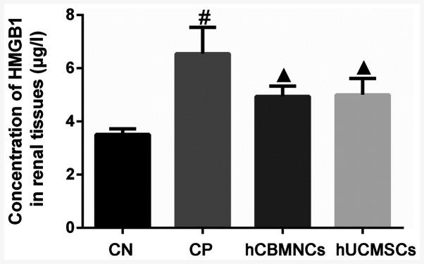 https://cdn.ncbi.nlm.nih.gov/pmc/blobs/58fb/7571324/b992aa48b888/etm-20-06-09274-g03.jpg