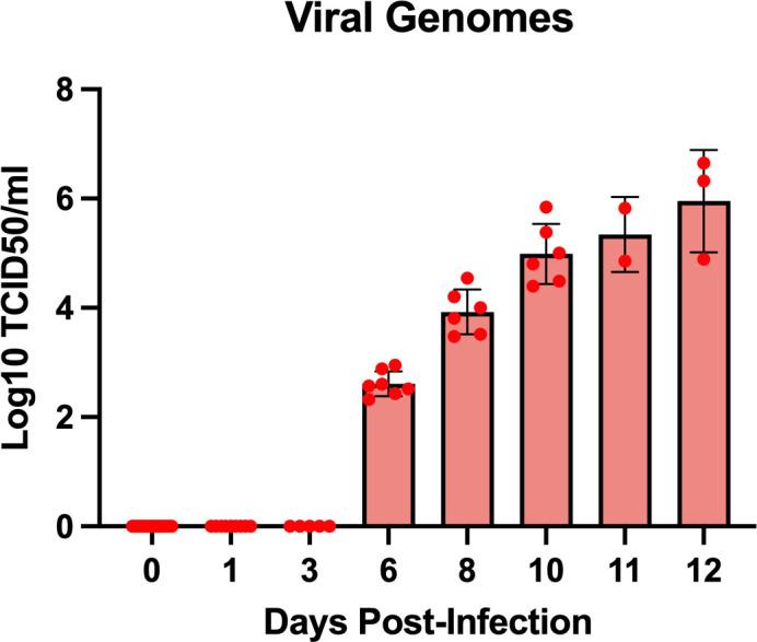 https://cdn.ncbi.nlm.nih.gov/pmc/blobs/58fd/10884106/53b45e62ed42/fcimb-14-1341891-g003.jpg