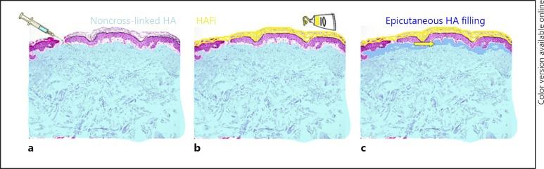 https://cdn.ncbi.nlm.nih.gov/pmc/blobs/58fe/6827440/76cad4b7f693/dpa-0006-0045-g02.jpg