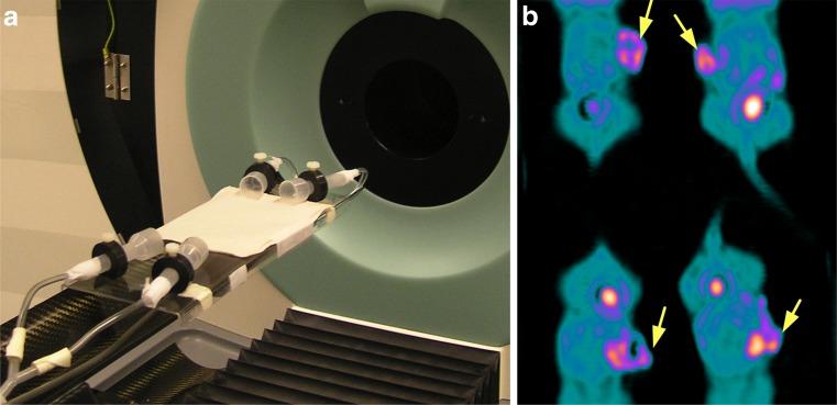 https://cdn.ncbi.nlm.nih.gov/pmc/blobs/5901/3411308/9f632d3d91bb/259_2012_2177_Fig4_HTML.jpg
