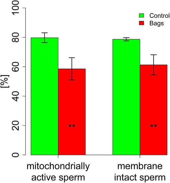 https://cdn.ncbi.nlm.nih.gov/pmc/blobs/5902/7746751/d53d4fe0c850/41598_2020_79415_Fig6_HTML.jpg