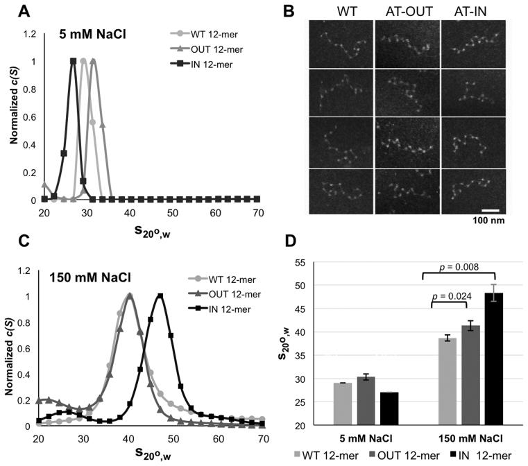 https://cdn.ncbi.nlm.nih.gov/pmc/blobs/5903/5766201/62b4da61eefe/gkx562fig2.jpg