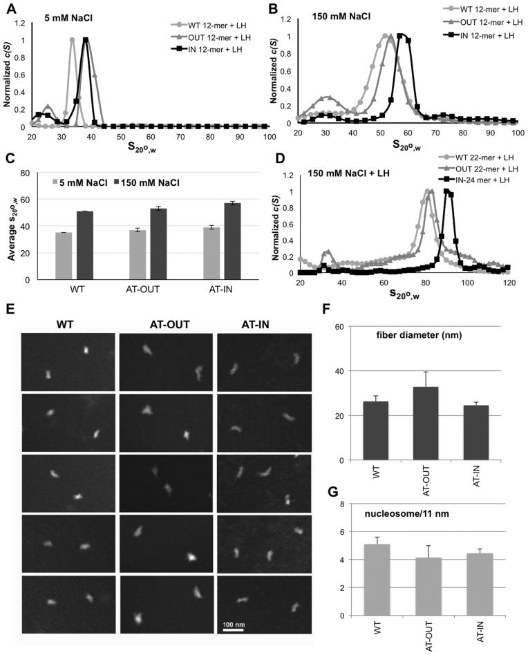 https://cdn.ncbi.nlm.nih.gov/pmc/blobs/5903/5766201/74cb1d939f6b/gkx562fig6.jpg