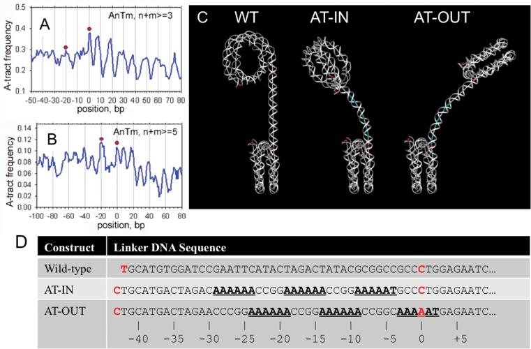 https://cdn.ncbi.nlm.nih.gov/pmc/blobs/5903/5766201/f3d17c2a20ba/gkx562fig1.jpg